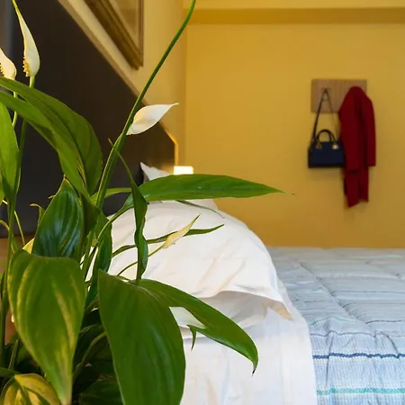 La Pineta - Le Casette Di Osvaldo *